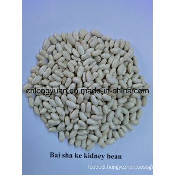 Chinese Beans Baishake White Kidney Bean